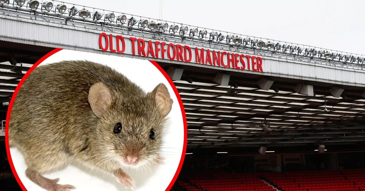 𝐇𝐢𝐢𝐡❗ 𝐅𝐚𝐧𝐬 𝐒𝐮𝐧𝐝𝐞𝐫𝐥𝐚𝐧𝐝 𝐓𝐚𝐧𝐠𝐤𝐚𝐩 𝐓𝐢𝐤𝐮𝐬 𝐝𝐢 𝐎𝐥𝐝 𝐓𝐫𝐚𝐟𝐟𝐨𝐫𝐝